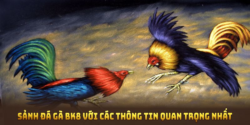 Các thông tin quan trọng nhất của sảnh đá gà BK8